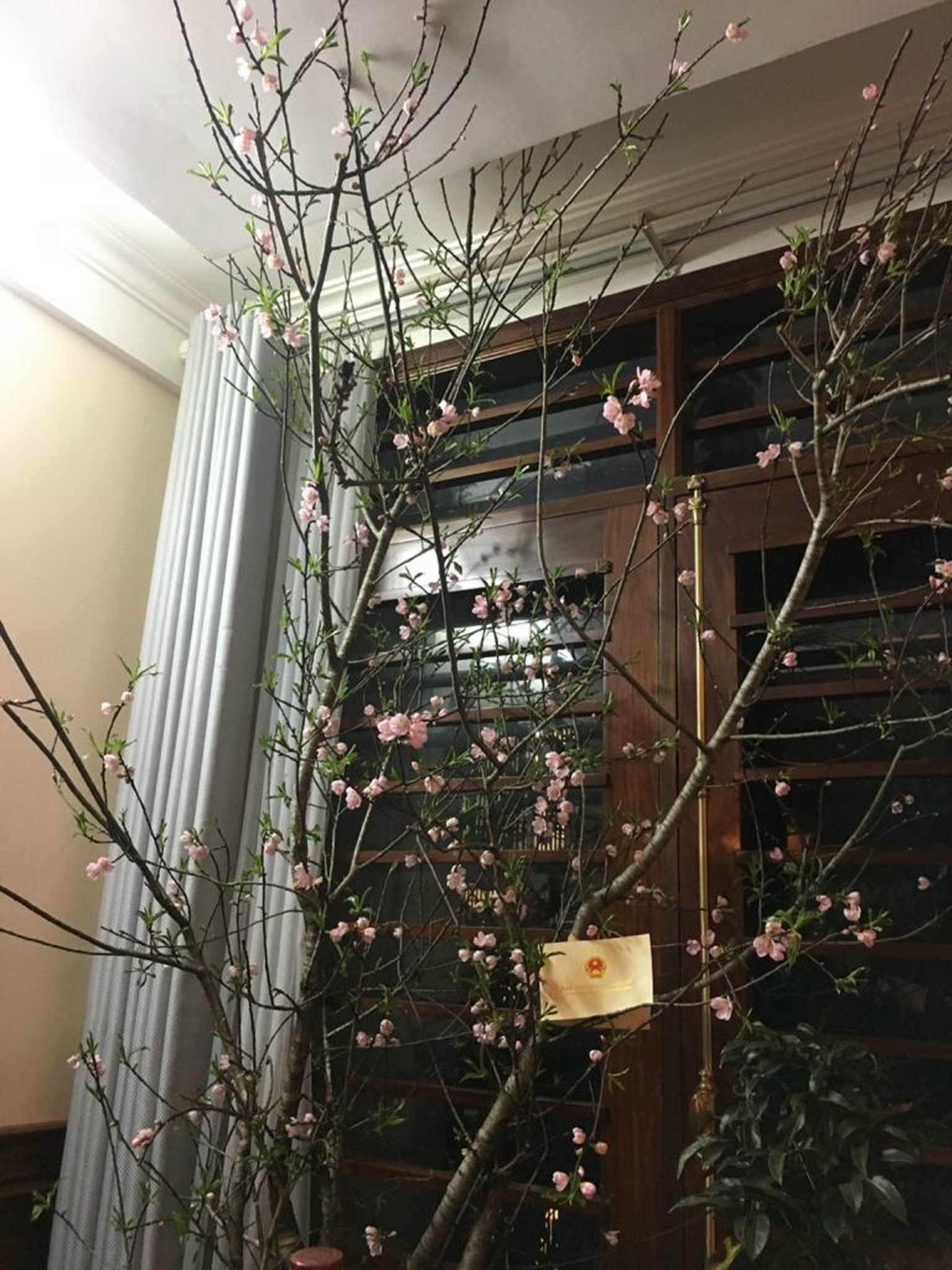 BÁN CĂN ĐẦU HỒI R4 HƯỚNG ĐÔNG NAM 2 PHÒNG NGỦ ĐỦ ĐỒ ĐẸP (BR40023)