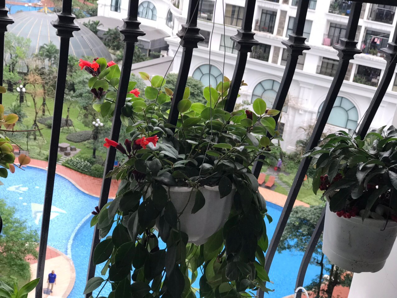BÁN GẤP CĂN HỘ 2 PHÒNG NGỦ R1 – R2 TẦNG THẤP VIEW BỂ BƠI SẴN ĐỒ (BR00117)